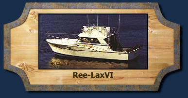 RV Charters Sport Fishing 152